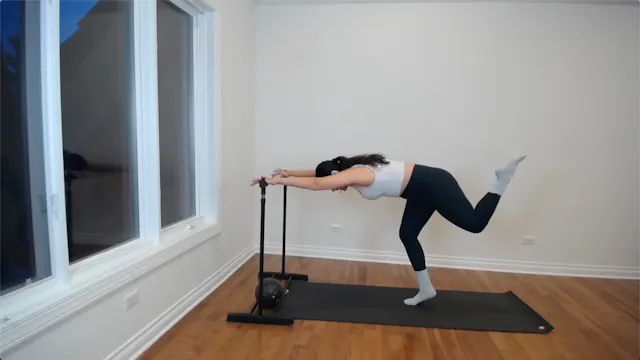 BARRE 301