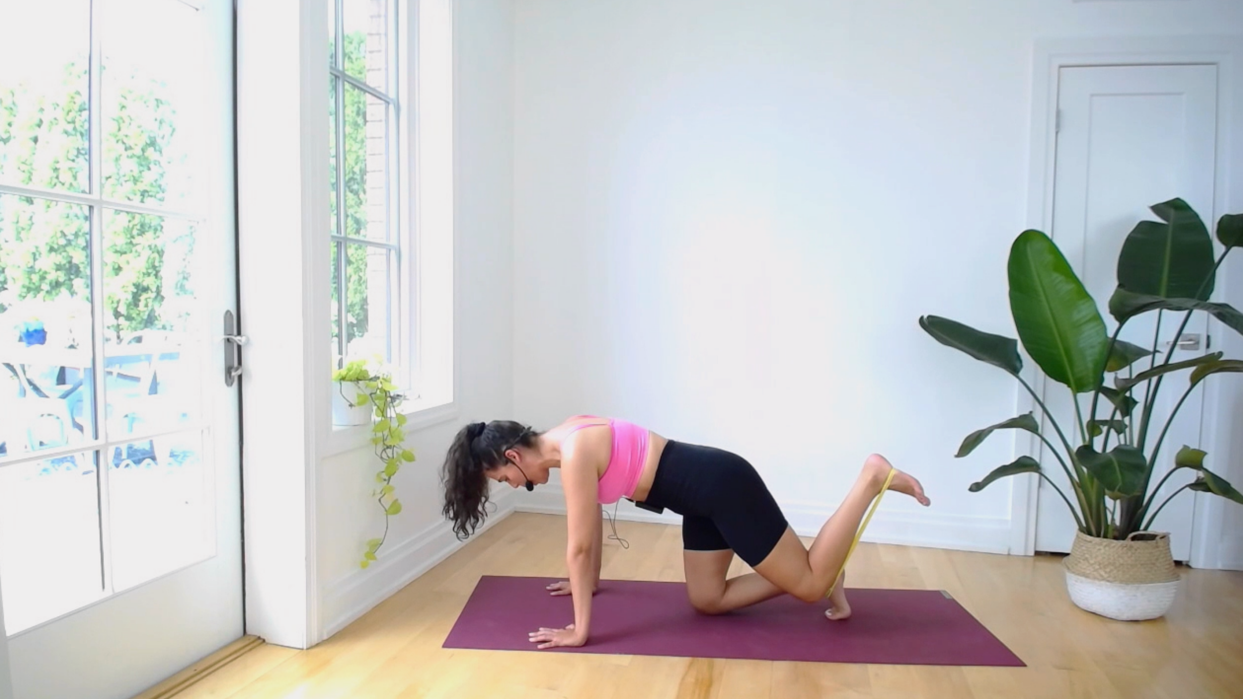 BARRE: GLUTES + CORE