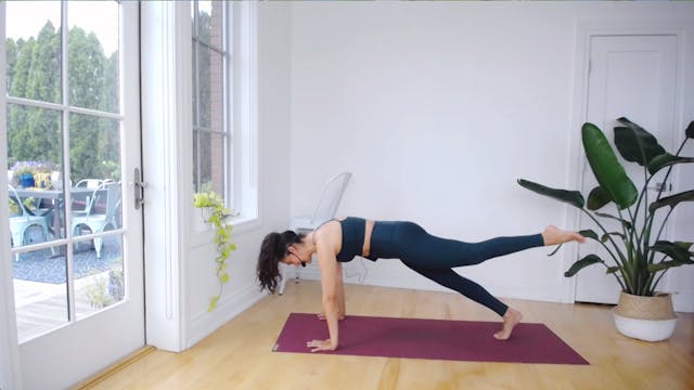 BARRE 117