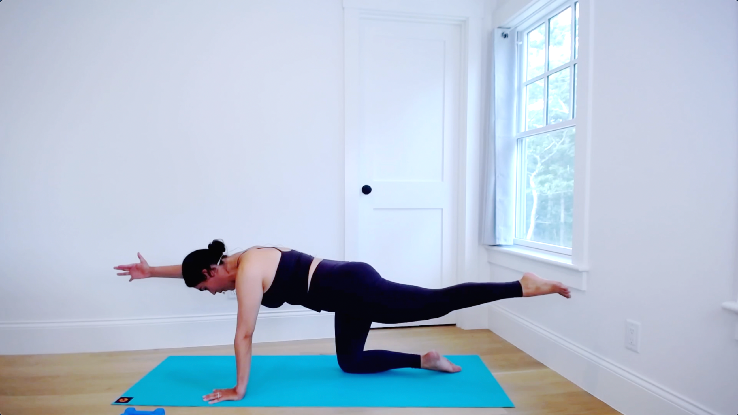 PRENATAL CORE + ARMS