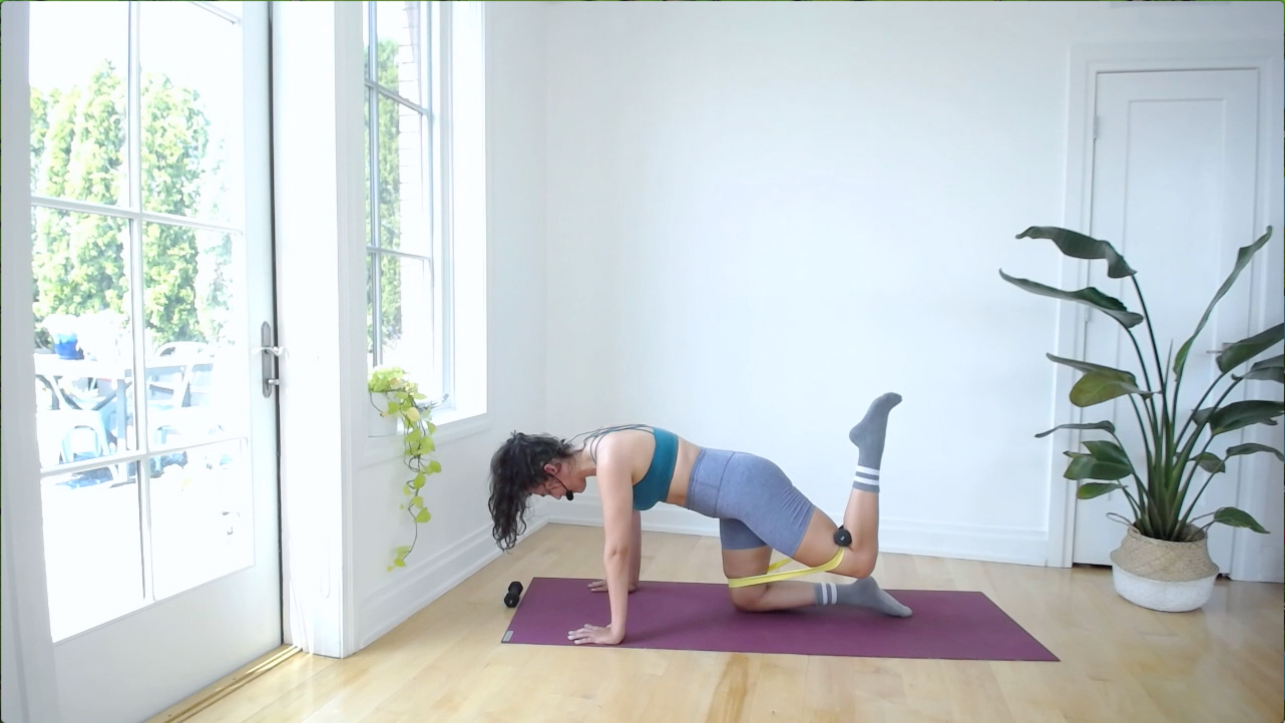 PROPS ON PROPS ARMS + GLUTES