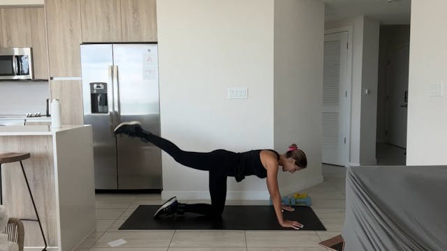 GFS Video 279