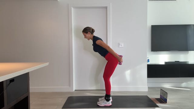 GFS Video 519
