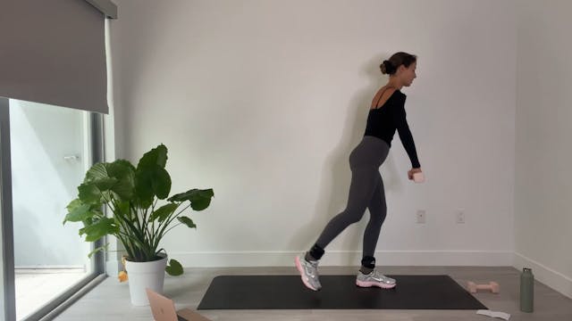 GFS Video 431