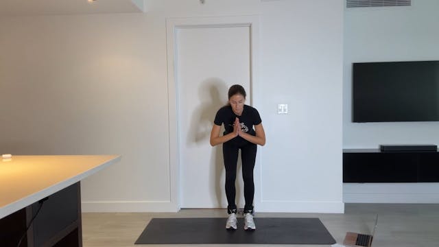 GFS Video 460