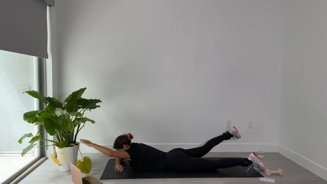 GFS Video 428