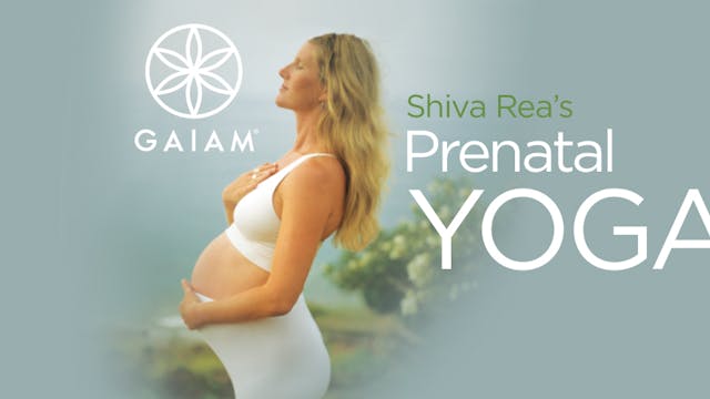 Shiva's Prenatal Yoga