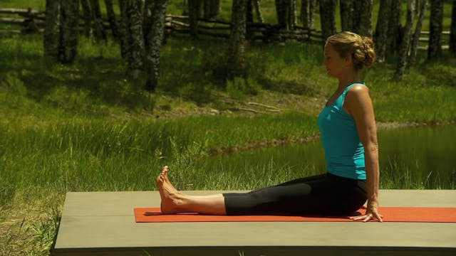 Yoga for Weightloss with Colleen Saidman: Strengthen & Energize