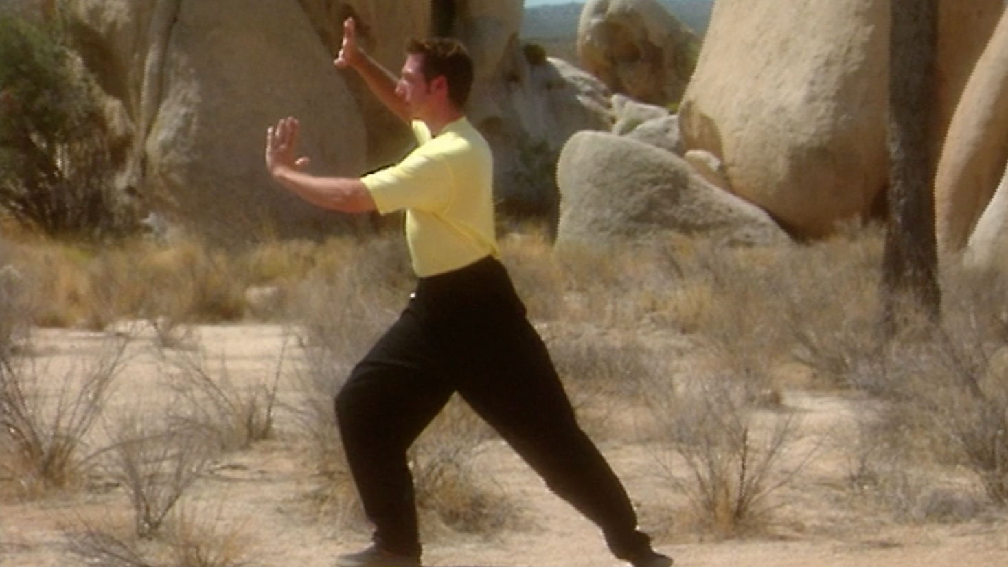 Lower Body Chi for Beginners