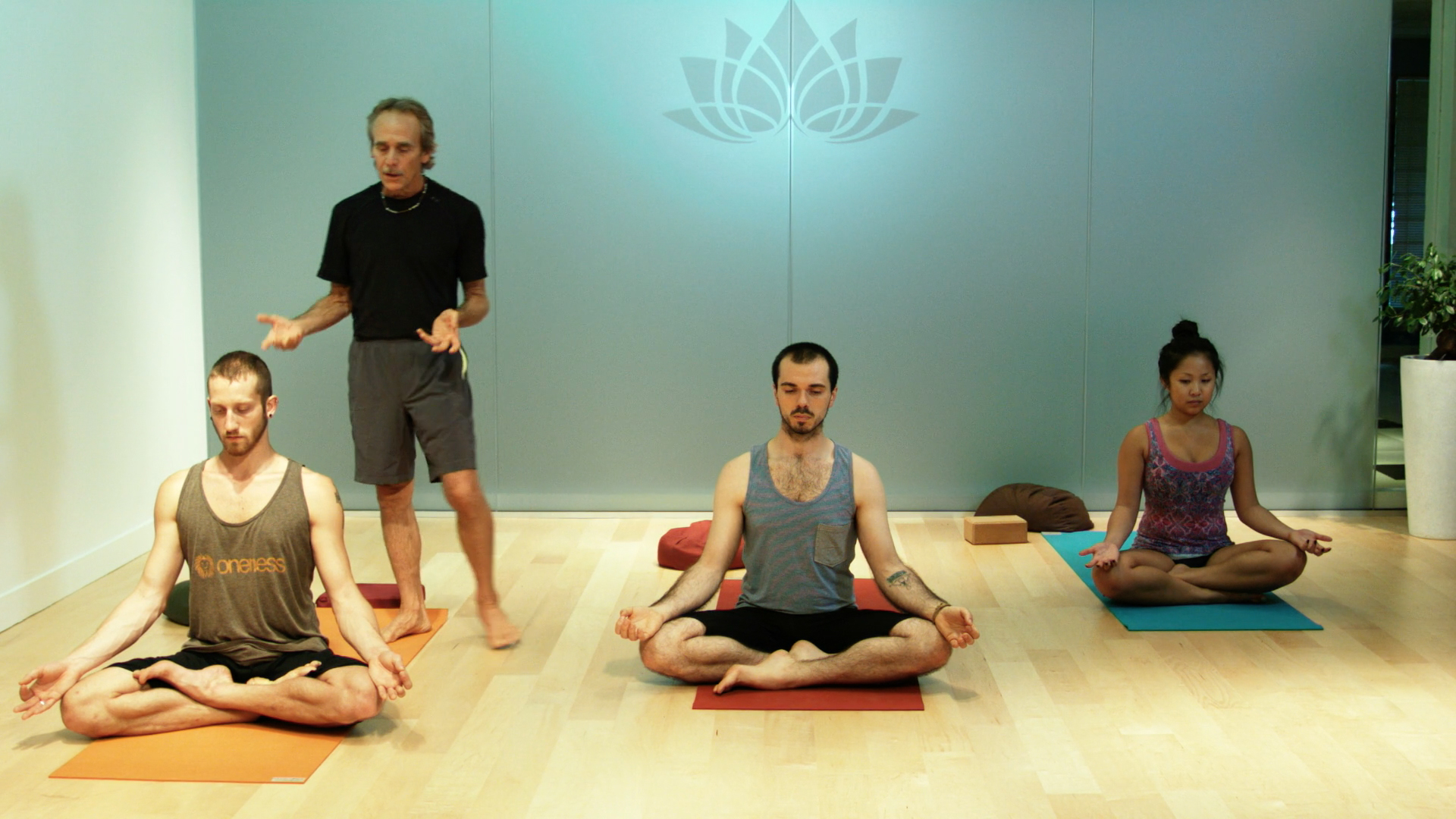 Inversions and Arm Balances