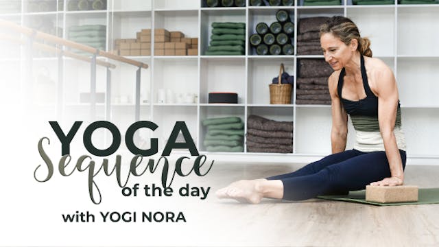 Yoga Sequence of the Day with Yogi Nora