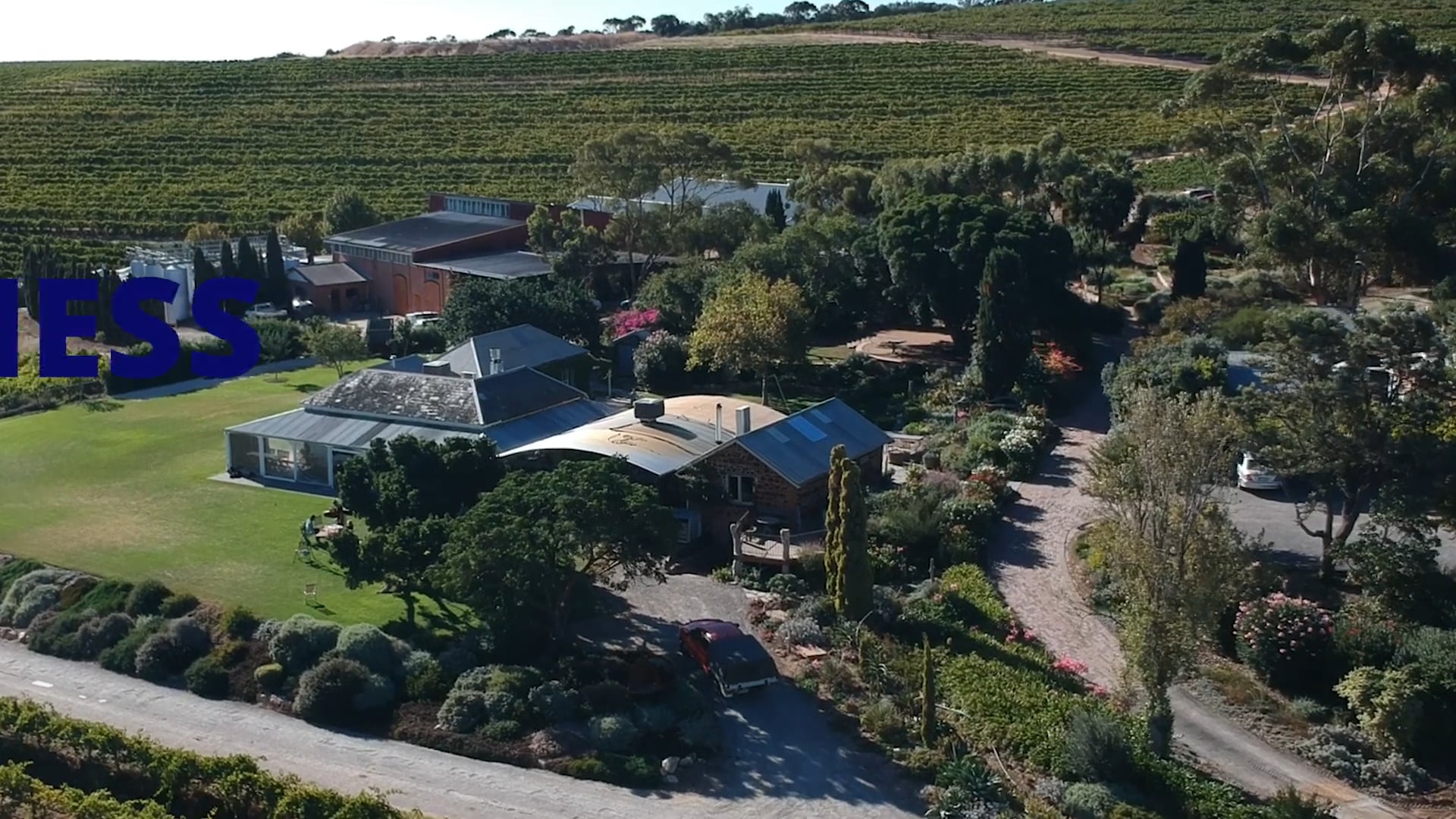 Functional Fitness - Warm Up