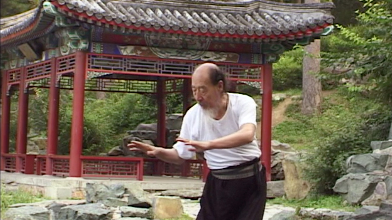 Qigong Ancient Chinese Healing