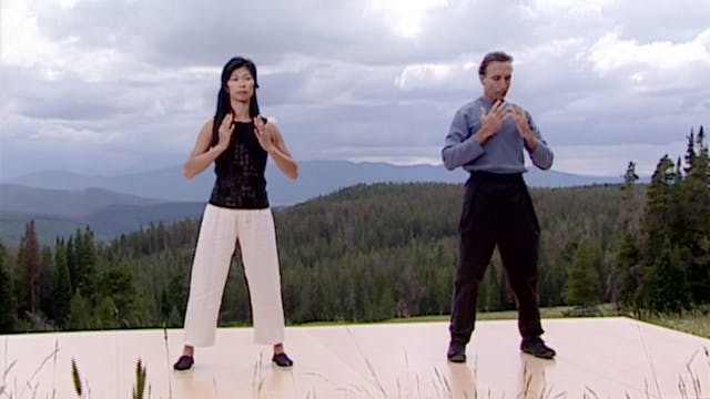 Qigong for Cleansing