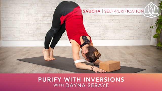 Yoga Every Day: Purify with Inversions