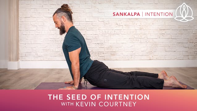 Yoga Every Day: The Seed of Intention