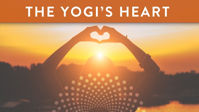Yogi's Heart