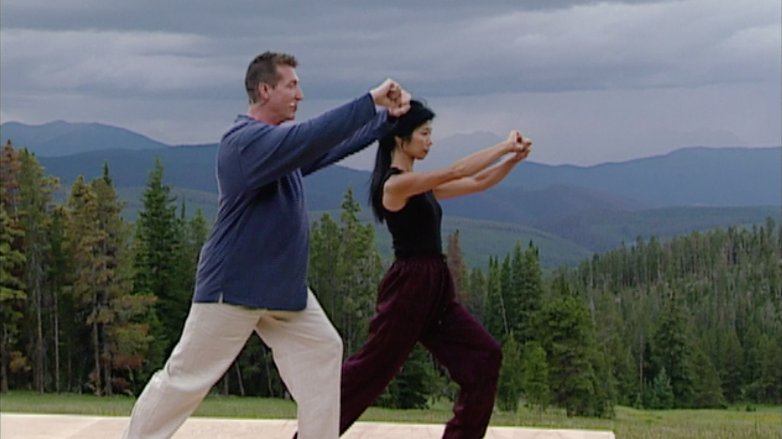 David-Dorian Ross - T'ai Chi