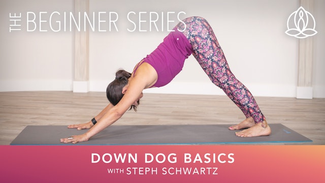 Yoga Every Day - The Beginner Series: Down Dog Basics