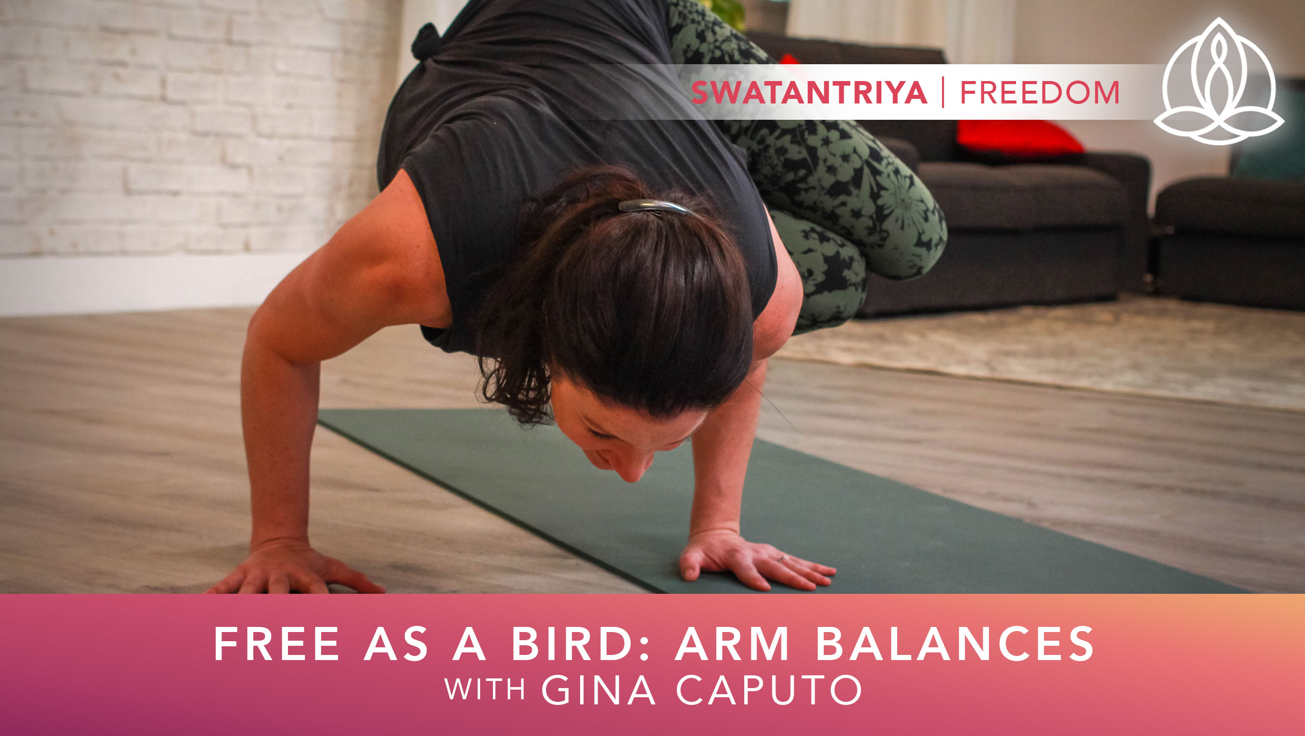 Yoga Every Day: Free As A Bird: Arm Balances