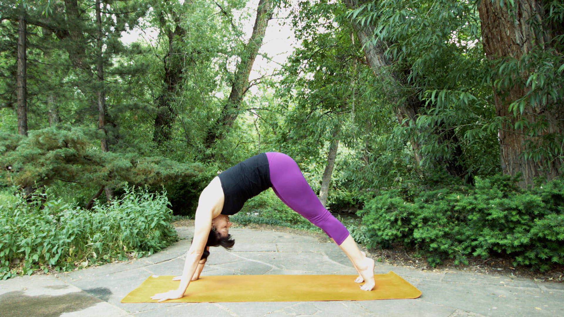 Yoga for Anxiety and Sleeplessness