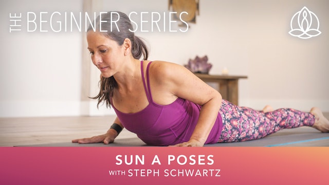 Yoga Every Day - The Beginner Series: Sun a Poses