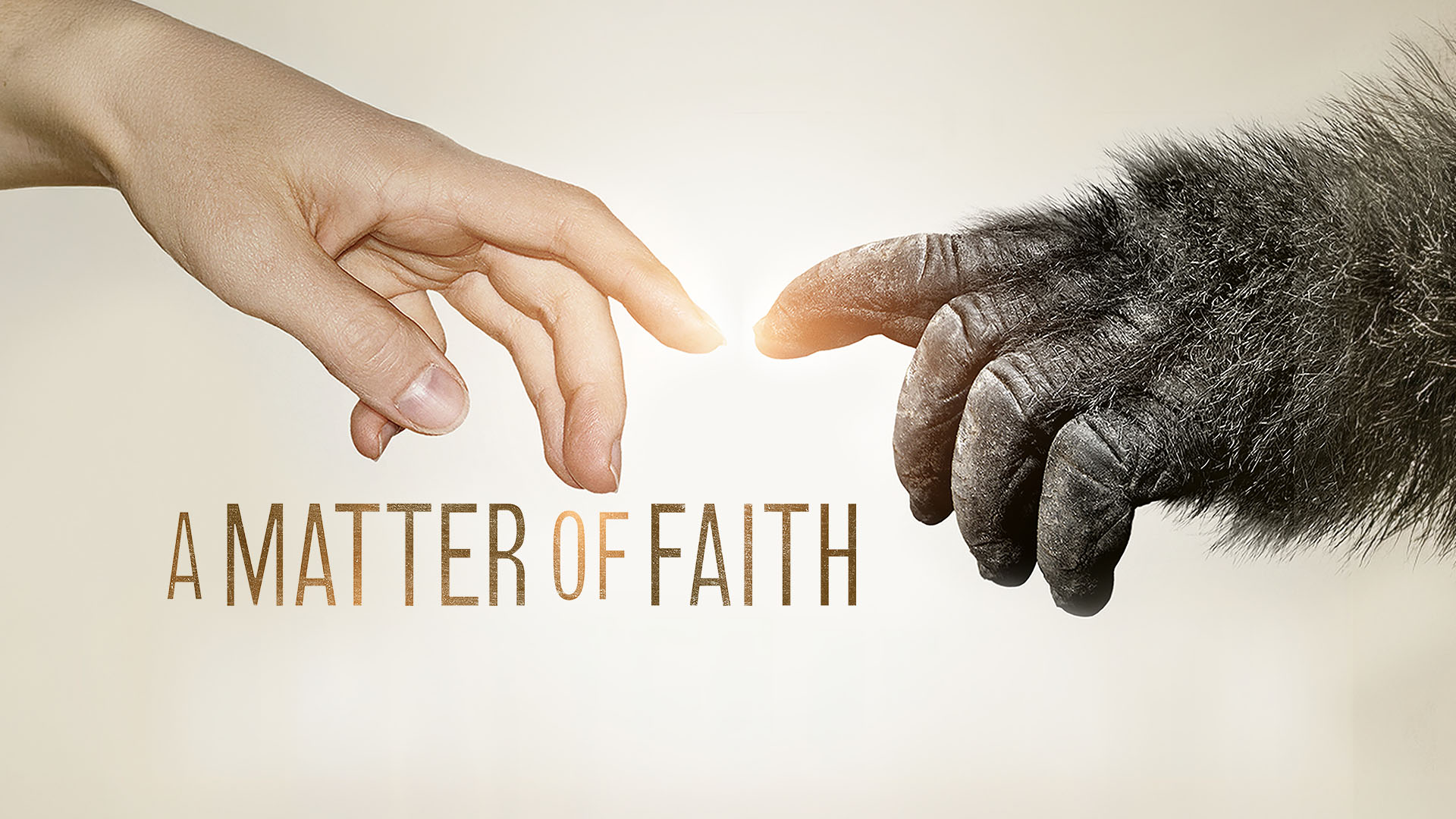 A Matter of Faith