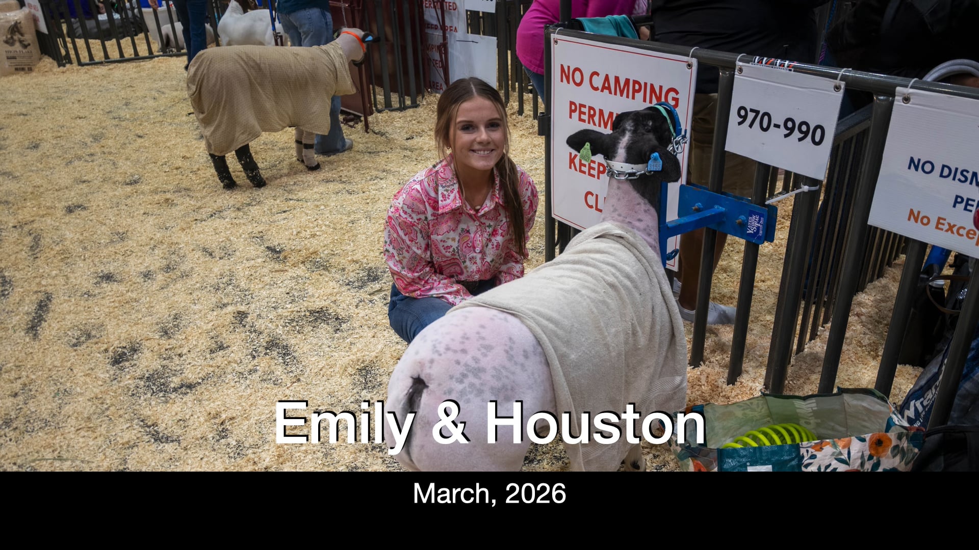 Life - Emily's Journey to the Houston Livestock Show and Rodeo