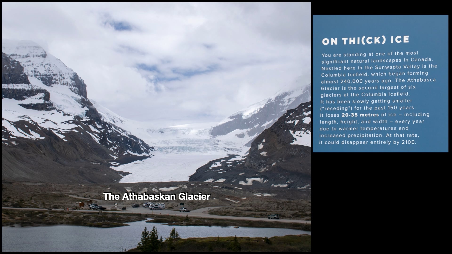 Trip - The Columbia Ice Field