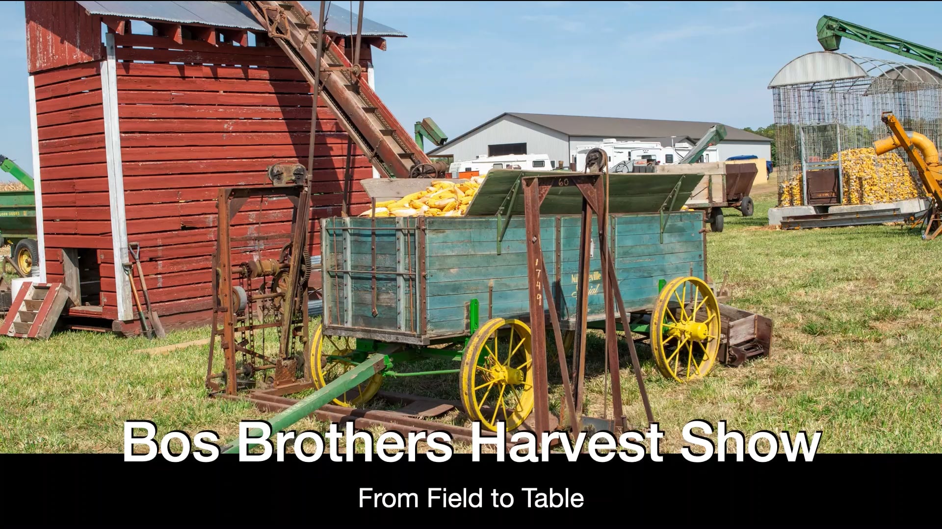 Life - From Field to Table