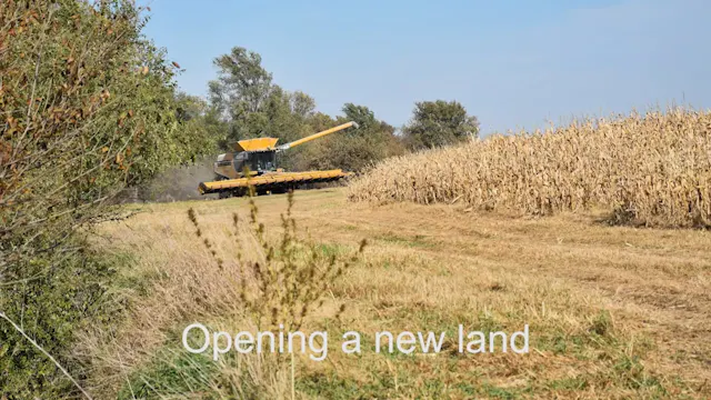 Payday! Corn Harvest  2019
