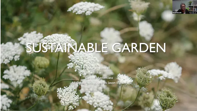 Marian Boswall - Sustainable Garden