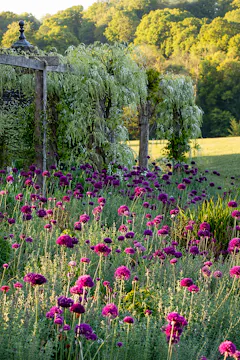 William Robinson and the Wild Garden