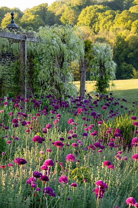William Robinson and the Wild Garden