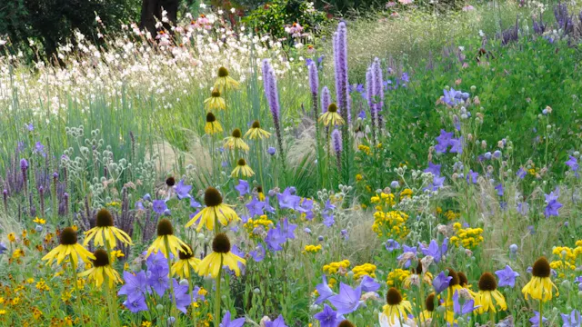 Cassian Schmidt – Dry Habitats: Wild & Garden