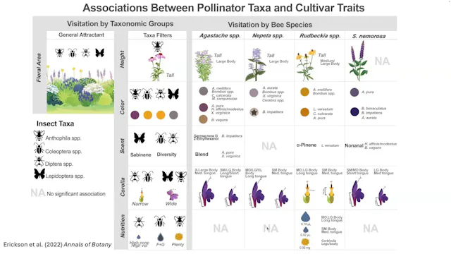 Emily Erickson – Gardening for Pollinators – Using Ecology to guide Plant Selection and Design
