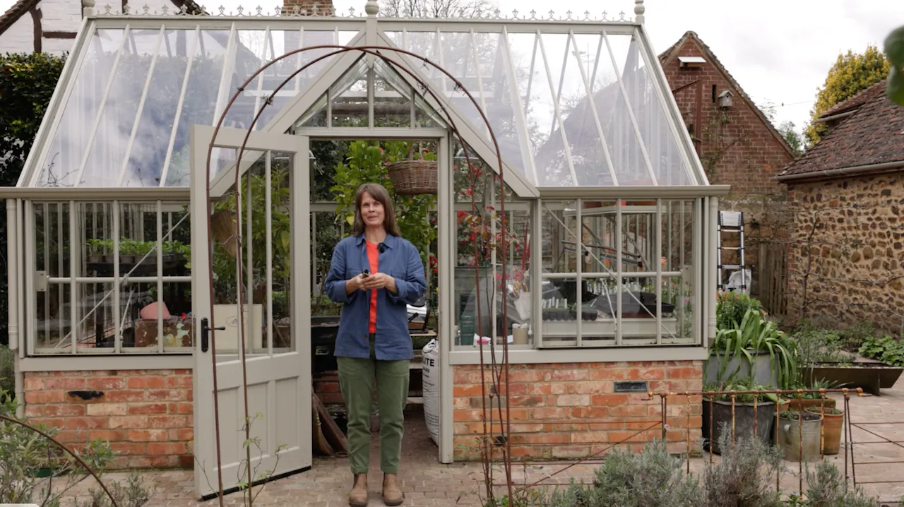 Sow, Cut and Grow - Basic Propagation