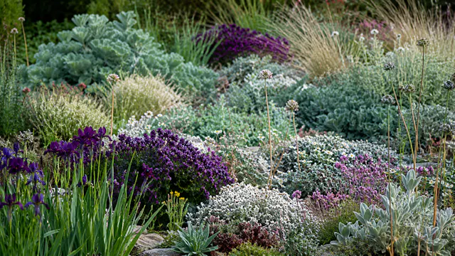 Bettina Jaugstetter on Mixed Perennial Planting