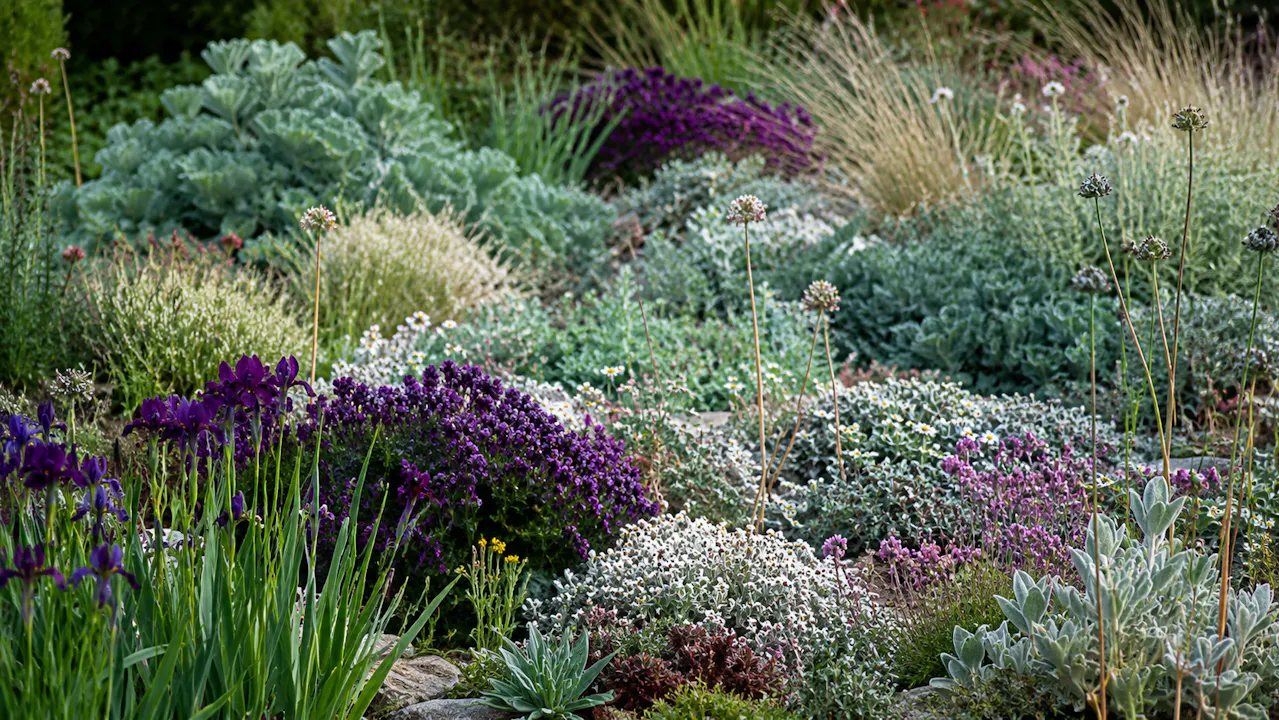 Bettina Jaugstetter on Mixed Perennial Planting