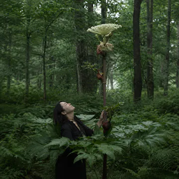 Tokachi Millennium Forest - Pearson & Shintani