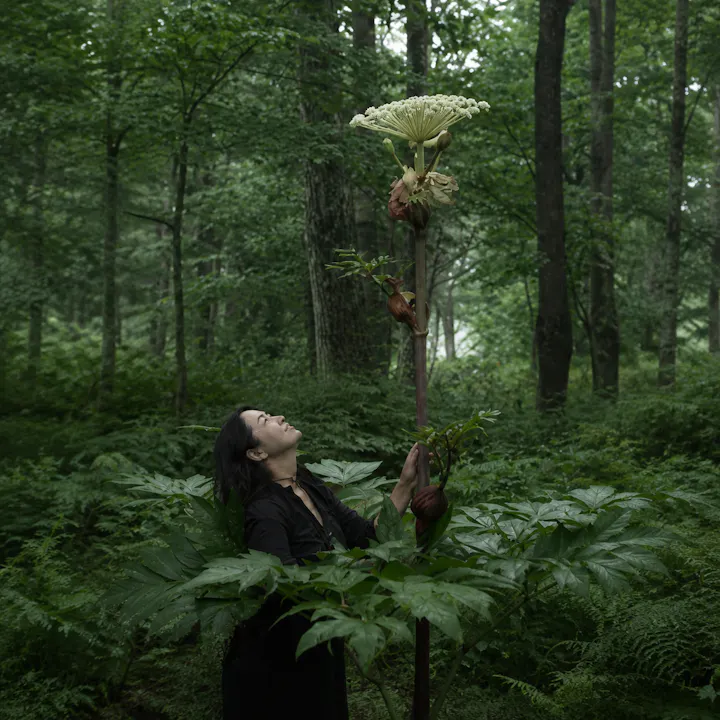 Tokachi Millennium Forest - Pearson & Shintani