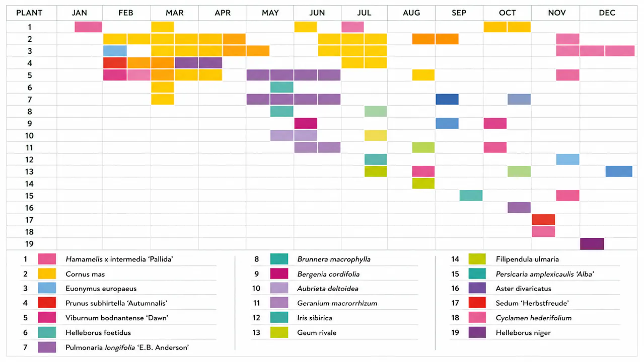 Mapping Plant Growth in Shared Spaces
