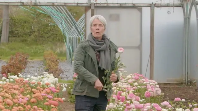 The Flower Farming Year with Rachel Siegfried