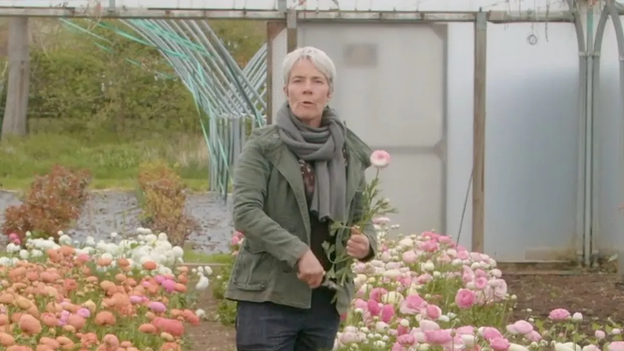The Flower Farming Year with Rachel Siegfried
