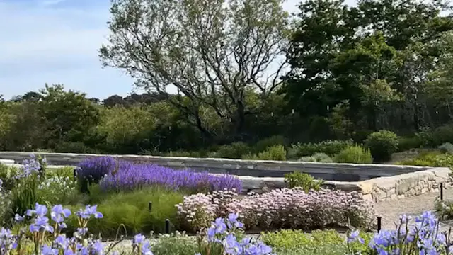 Hanna Packer – Making a Piet Oudolf Garden
