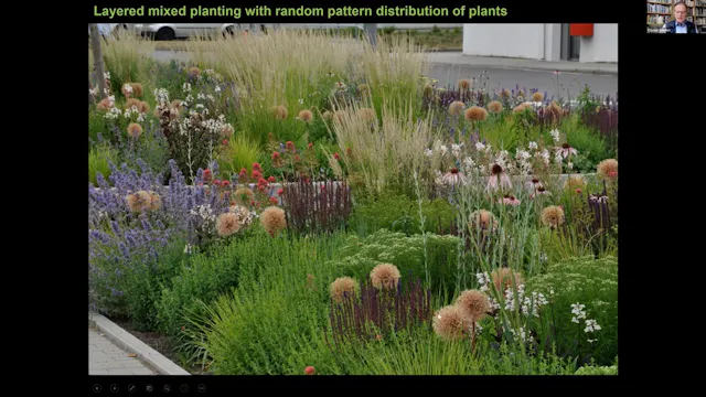 Ecology based Maintenance Regimes for Perennial Style Plantings, with Cassian Schmidt