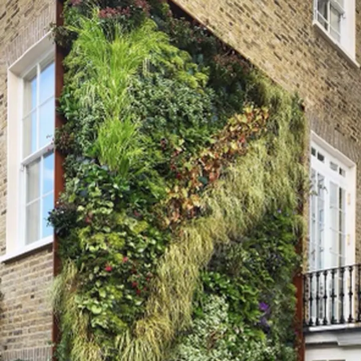 Adam Shepherd - Vertical Gardens