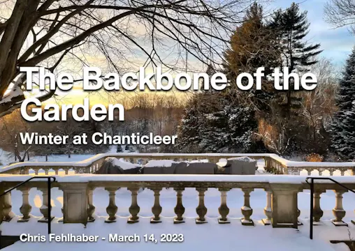 Chris Fehlhaber - Winter at Chanticleer - The backbone of the garden