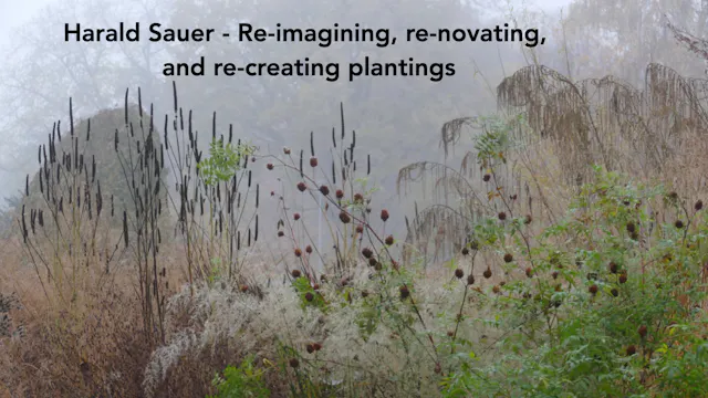 Harald Sauer re-imagines, re-creates and re-novates planting