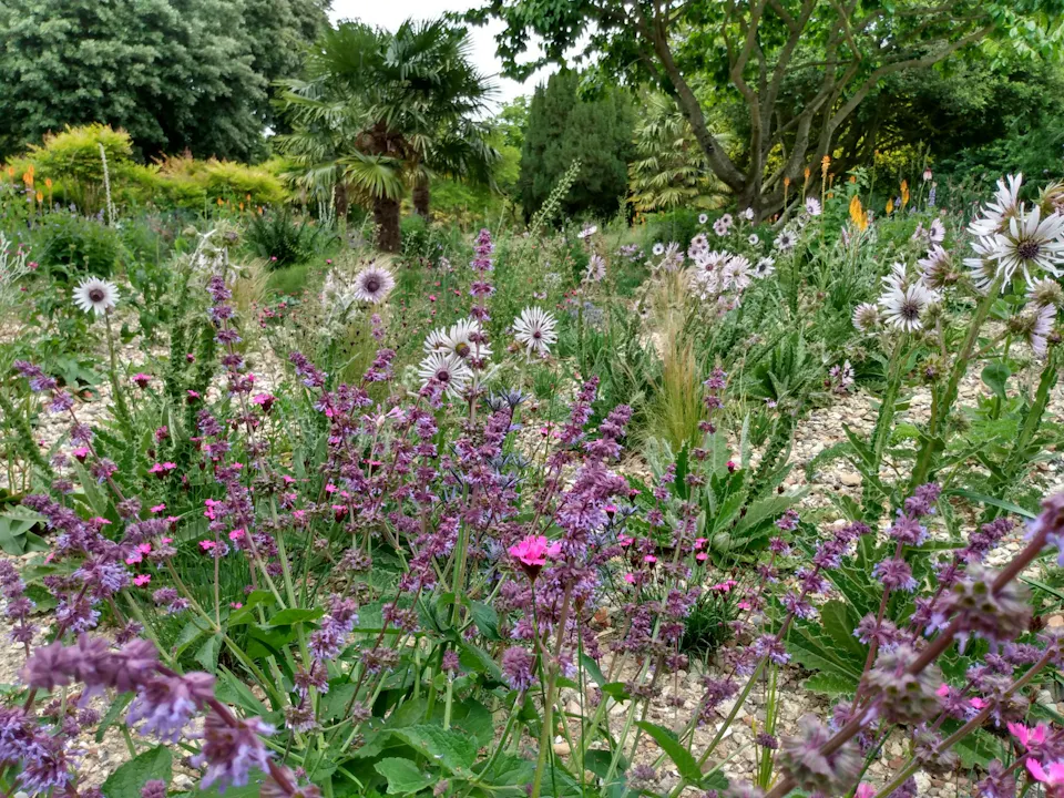 Tom Brown - The Dry Meadow Garden at West Dean